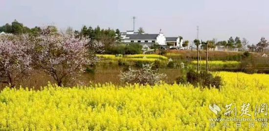 高垴村小花園.jpg