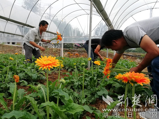 d:\Pictures\Camera Roll\9月\8_副本.jpg d:\Pictures\Camera Roll\9月\8_副本.jpg