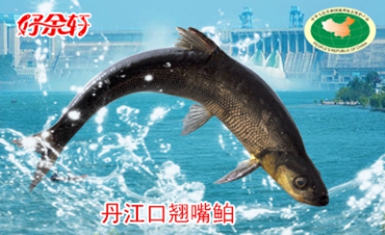 好余軒 好余軒